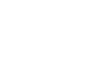 stl-usa-white1